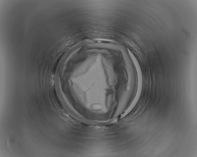 X0000112100621200909011126