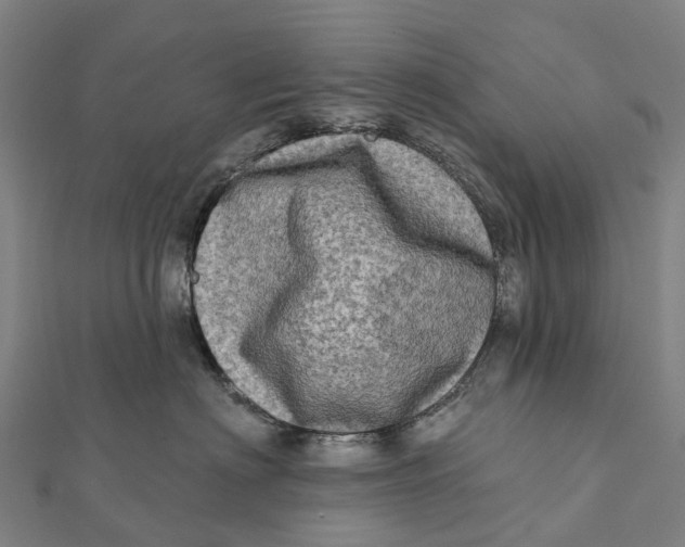 X0000112100622200909011126