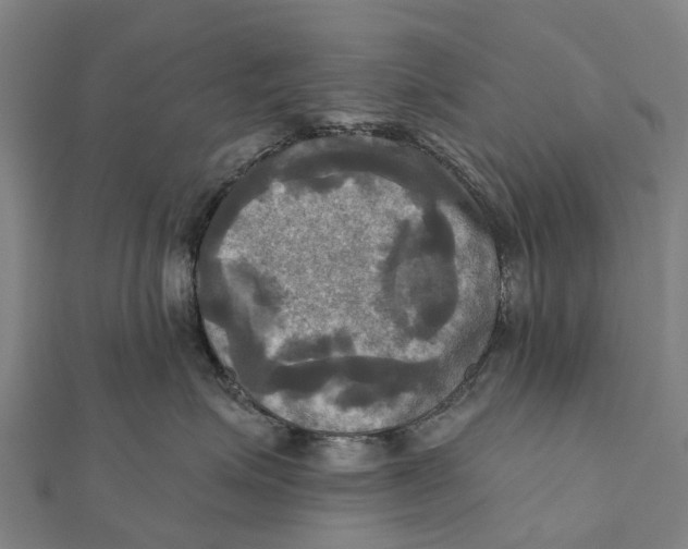 X0000112100623200909011125