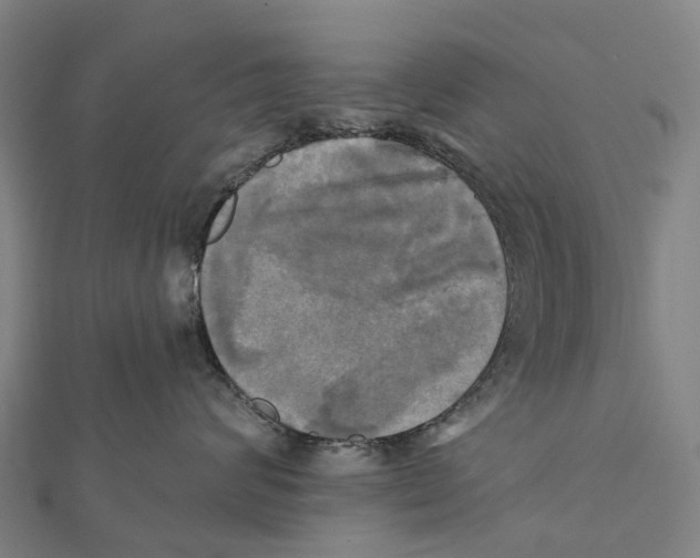 X0000112100624200909011125