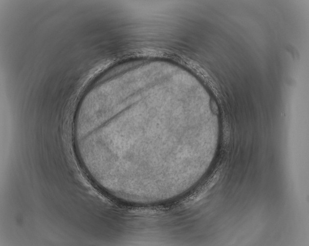 X0000112100625200909011125