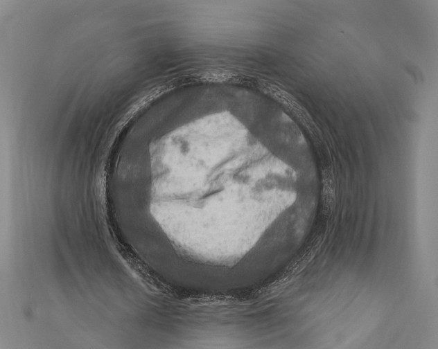 X0000112100626200909011125