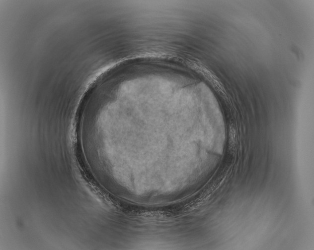 X0000112100628200909011125