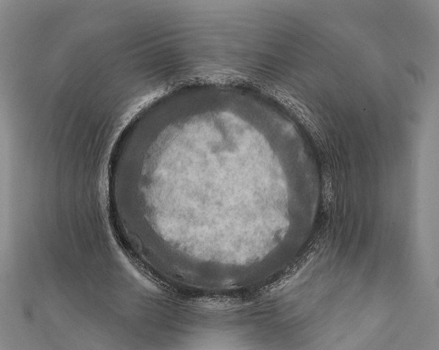 X0000112100630200909011125