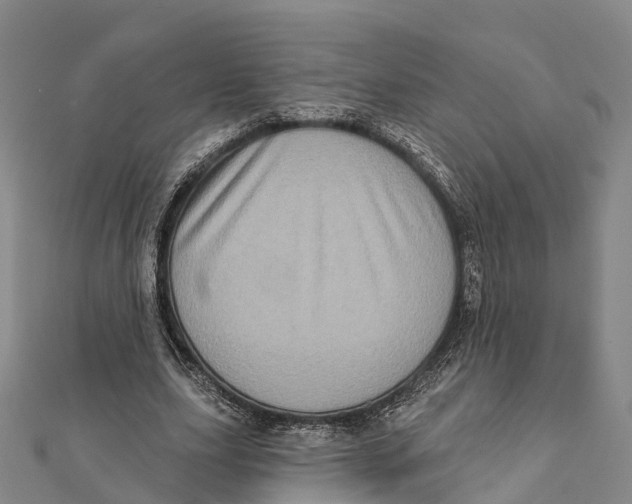 X0000112100631200909011125