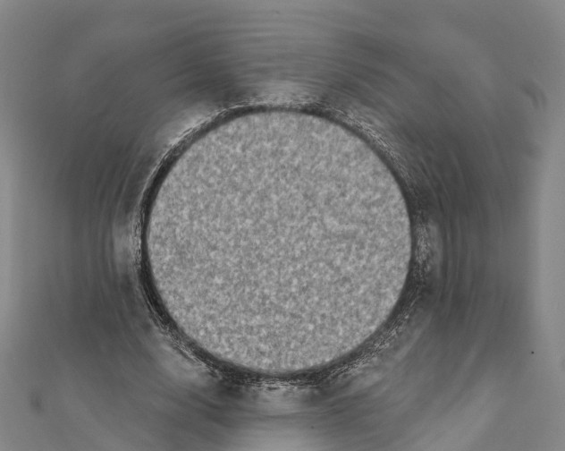 X0000112100632200909011125