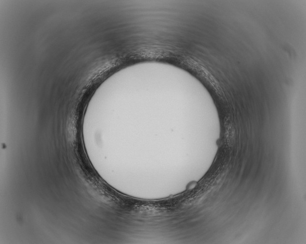 X0000112100635200909011125