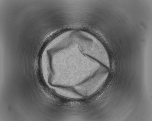 X0000112100636200909011125