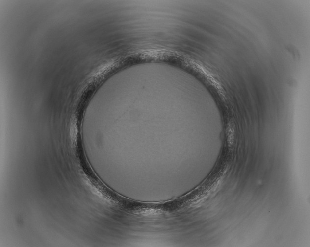 X0000112100637200909011125