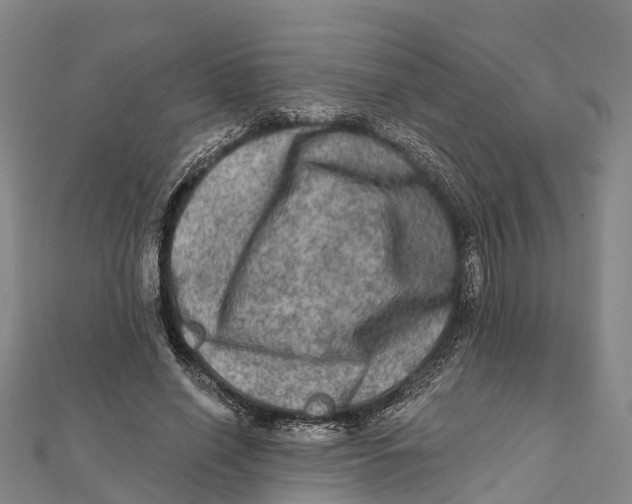 X0000112100638200909011125