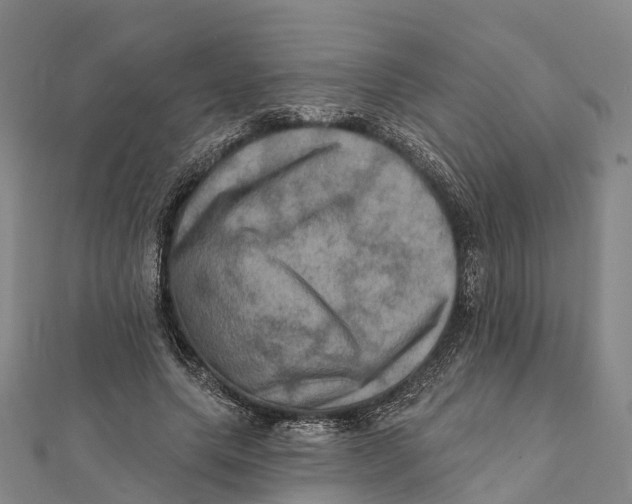 X0000112100639200909011125