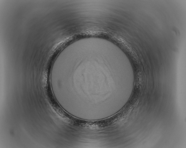 X0000112100640200909011125
