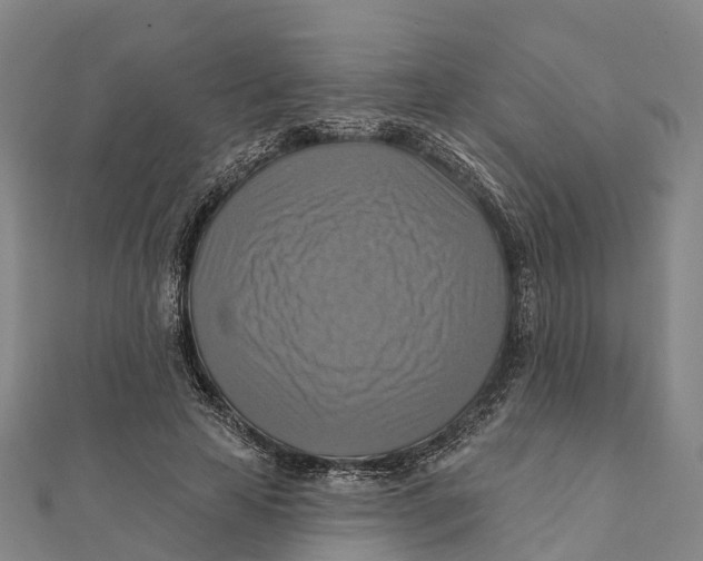 X0000112100641200909011125