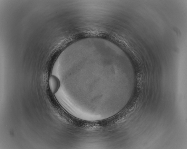 X0000112100642200909011125