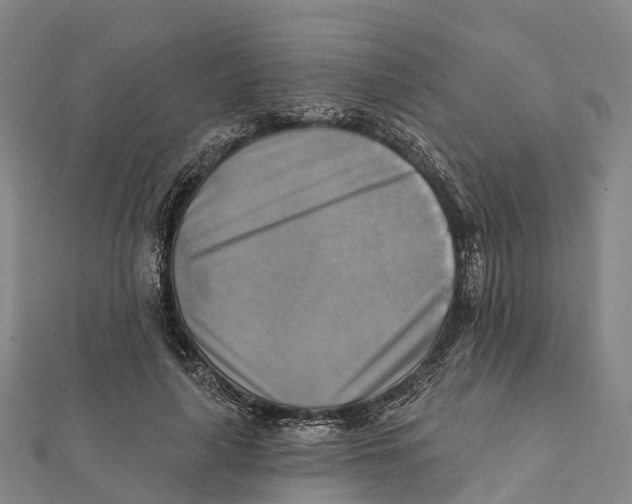 X0000112100643200909011125