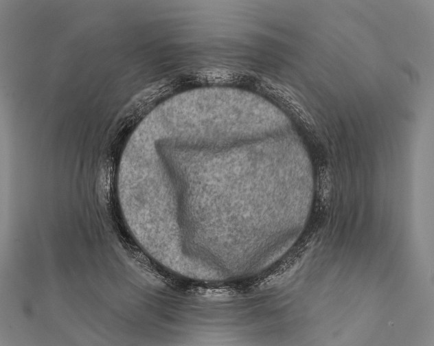 X0000112100645200909011125