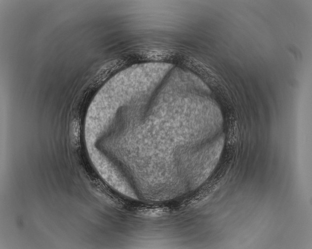 X0000112100646200909011125