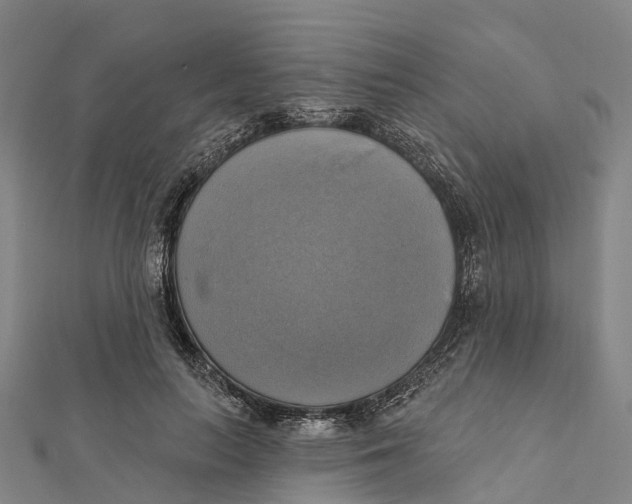 X0000112100647200909011125