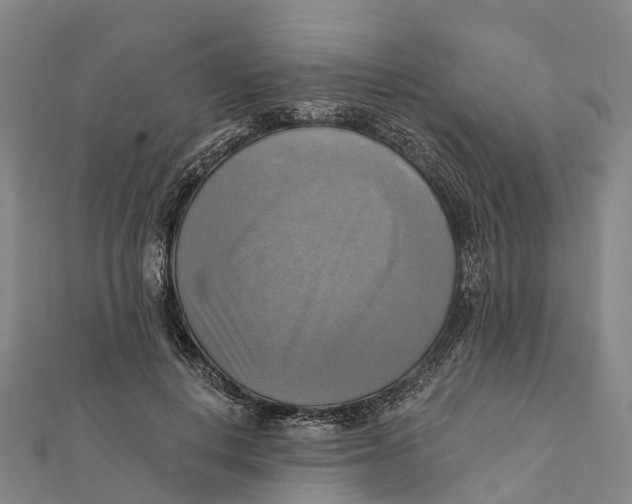 X0000112100648200909011125