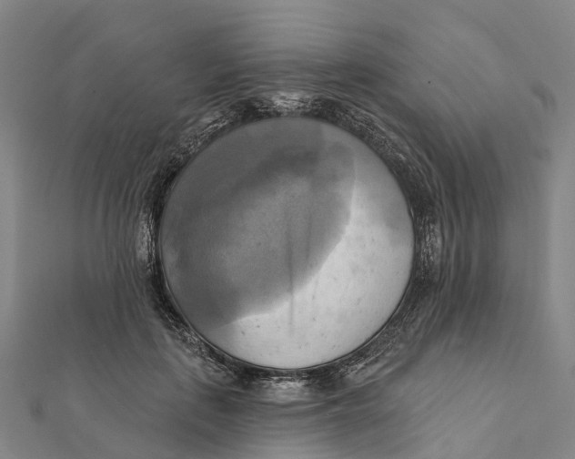 X0000112100651200909011125