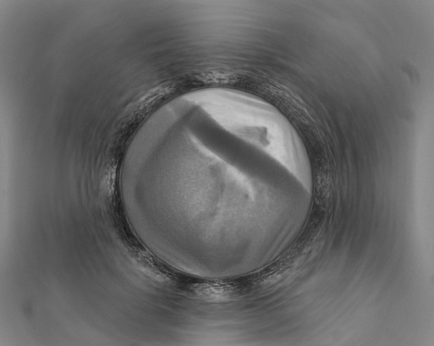 X0000112100652200909011125