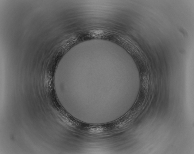 X0000112100653200909011125