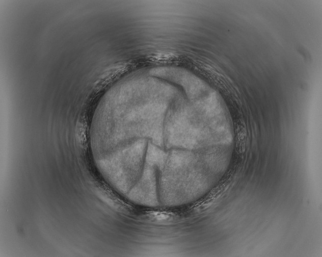X0000112100654200909011125