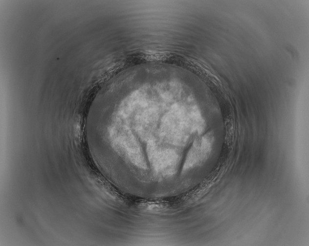 X0000112100655200909011125