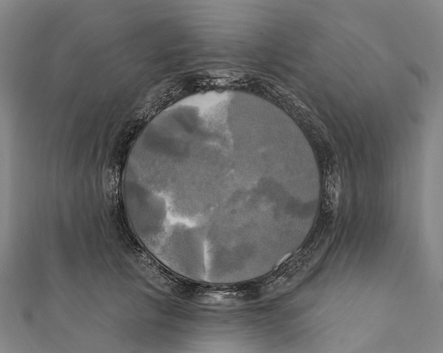 X0000112100657200909011125