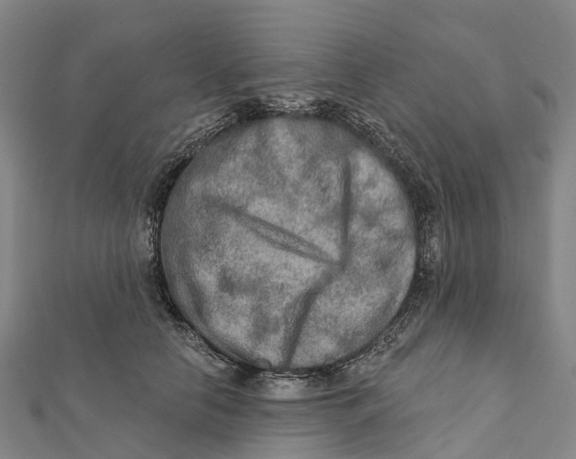 X0000112100658200909011125