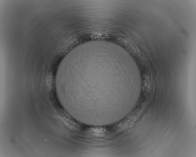 X0000112100659200909011125