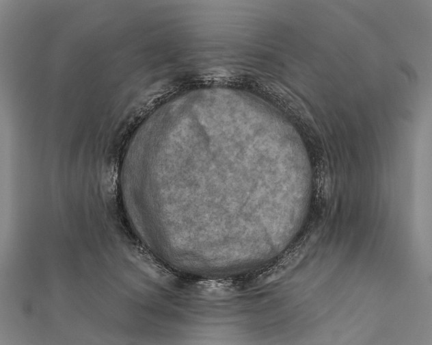 X0000112100660200909011125