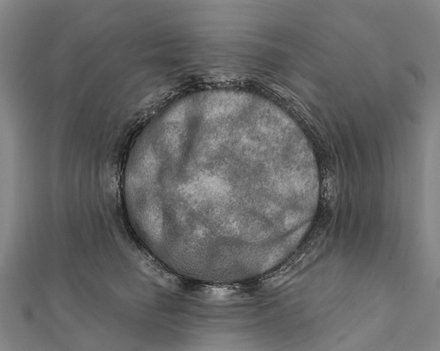 X0000112100662200909011125