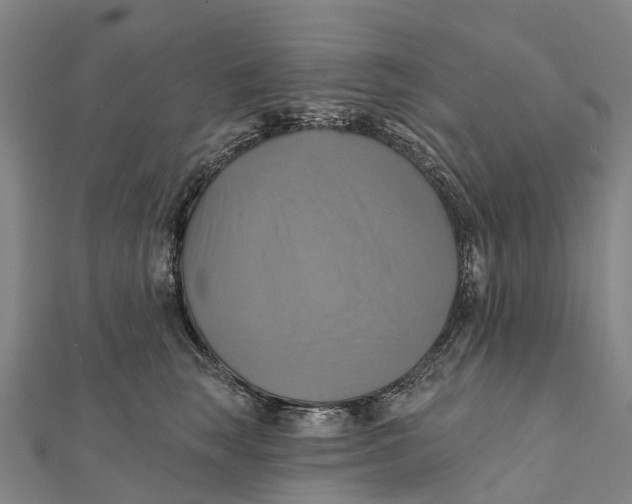 X0000112100663200909011125