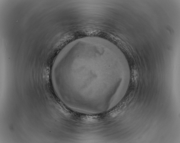 X0000112100664200909011125