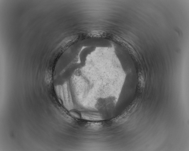 X0000112100665200909011125