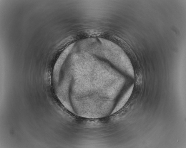 X0000112100666200909011125