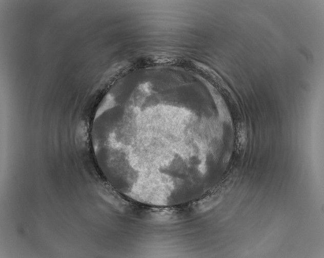 X0000112100667200909011125