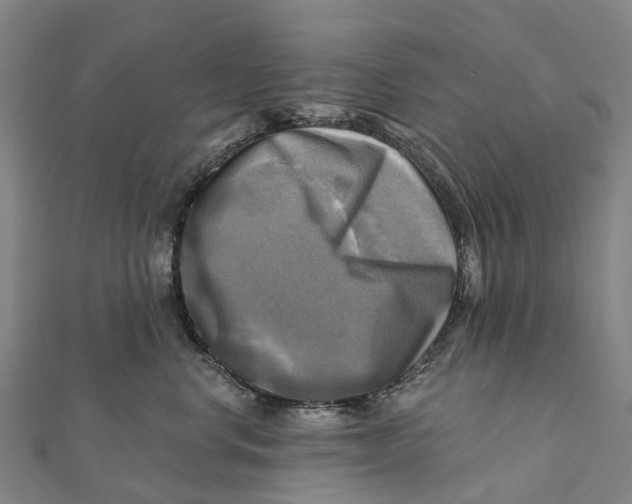 X0000112100668200909011125