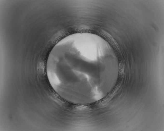 X0000112100669200909011125
