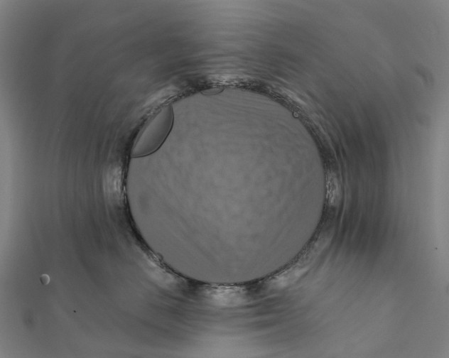 X0000112100670200909011125