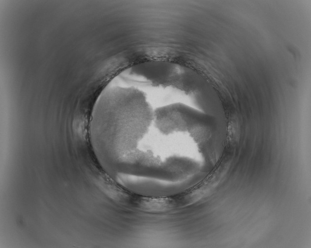 X0000112100671200909011125