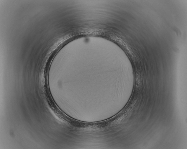 X0000112100674200909011125