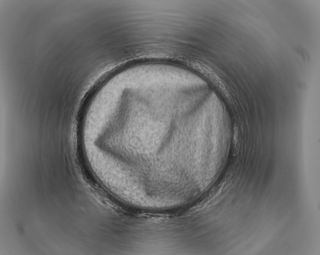 X0000112100676200909011125