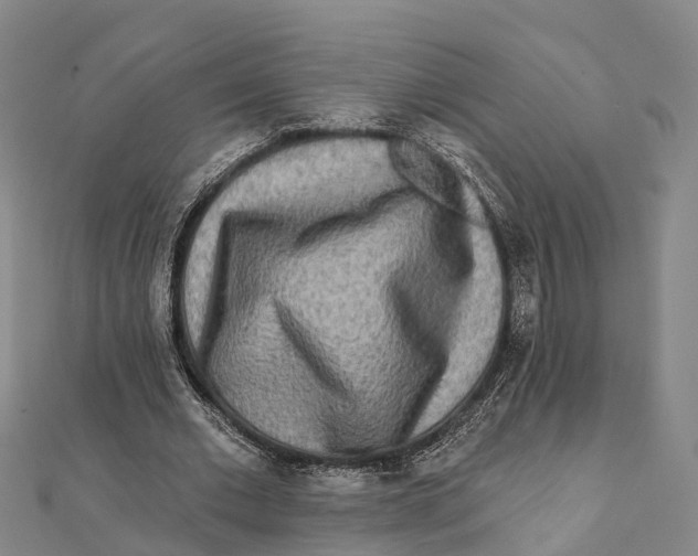 X0000112100677200909011125