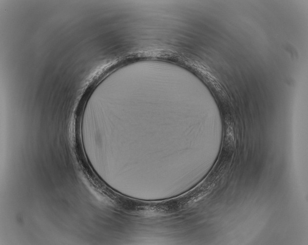 X0000112100678200909011125