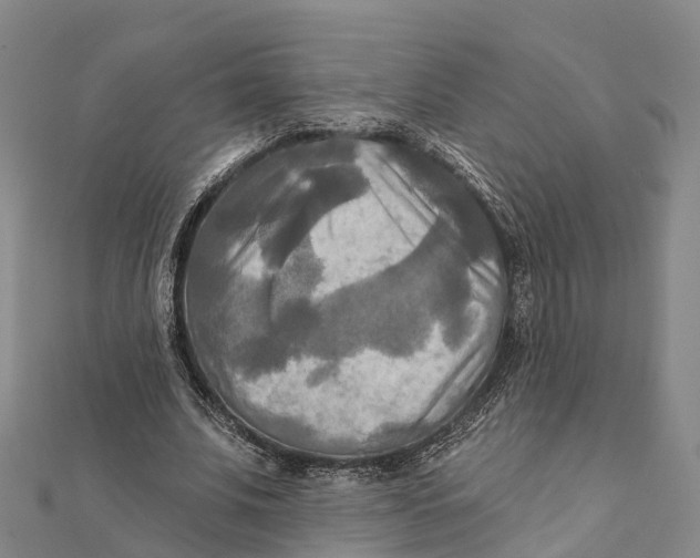 X0000112100679200909011125