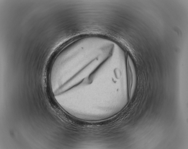 X0000112100680200909011125