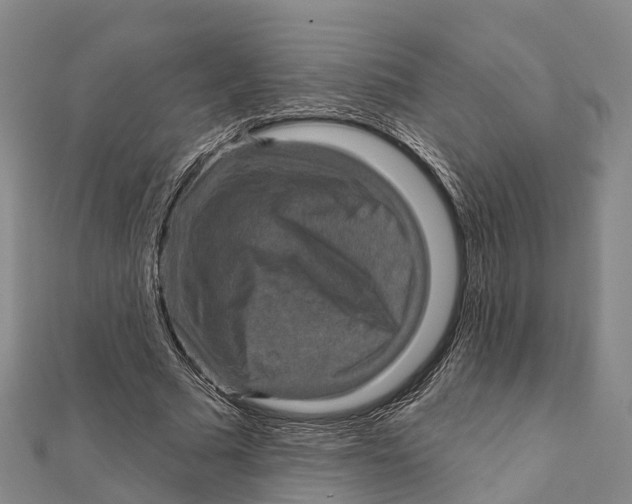 X0000112100681200909011125