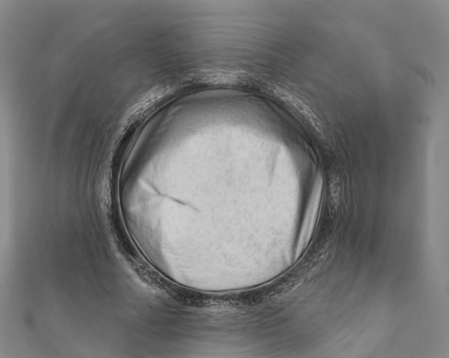 X0000112100682200909011125